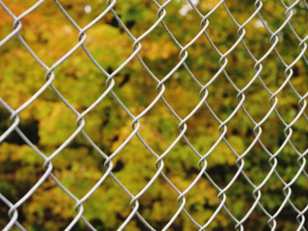 勾花編織圍網(wǎng)圖片1 勾花編織圍網(wǎng)圖片1