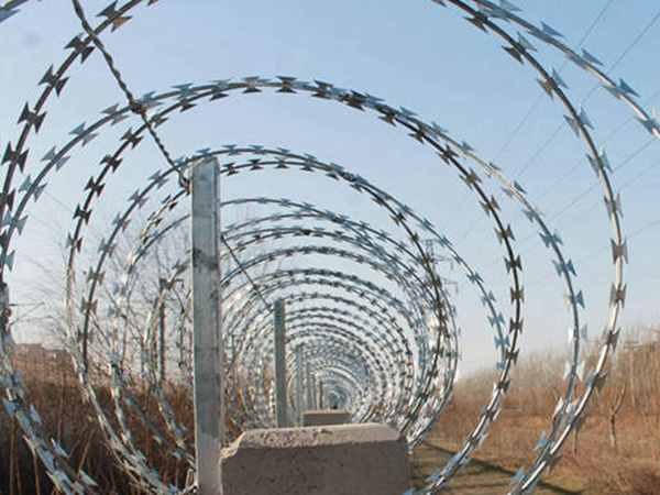 高鐵刺絲滾籠圖片5 高鐵刺絲滾籠圖片5