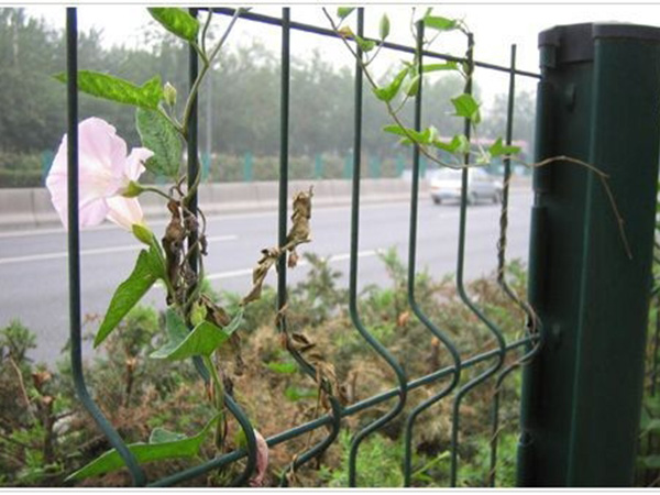 隔離帶護欄網(wǎng)圖片1 隔離帶護欄網(wǎng)圖片1