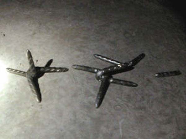 鐵蒺藜圖片2 鐵蒺藜圖片2