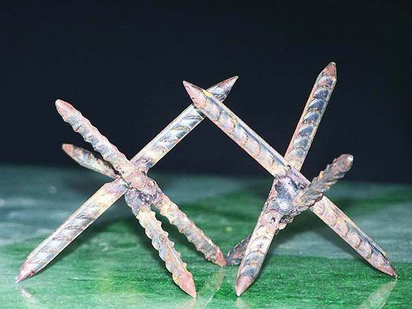 鐵蒺藜圖片3 鐵蒺藜圖片3