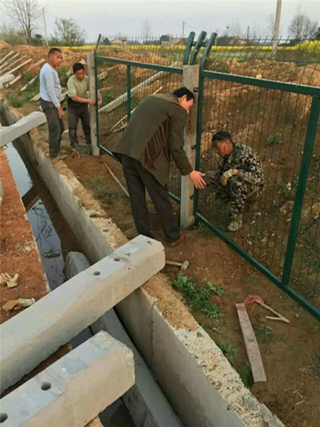 滬昆鐵路貴州段防護柵欄護欄網(wǎng)項目圖片2 滬昆鐵路貴州段防護柵欄護欄網(wǎng)項目圖片2