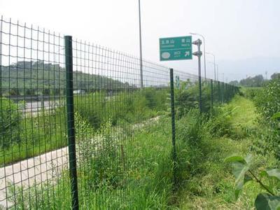 鐵絲護欄網(wǎng)6