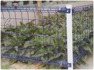 雙圈護欄網 雙圈護欄網