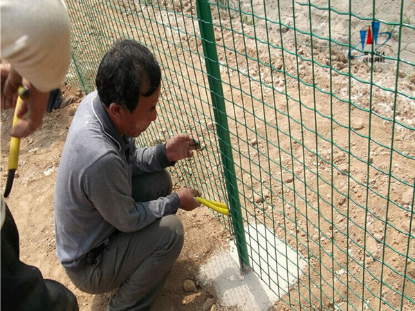 養(yǎng)殖圍欄網(wǎng)圖片1 養(yǎng)殖圍欄網(wǎng)圖片1